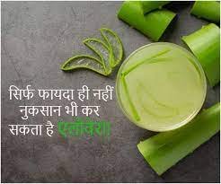 Aloe Vera Side Effects: फायदा ही नहीं कई मामलों में नुकसान भी कर सकता है एलोवेरा