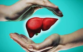 Is liver Detox Possible: क्या लिवर को डिटॉक्स किया जा सकता है? एक्सपर्ट से जानें हेल्दी लिवर के टिप्स...