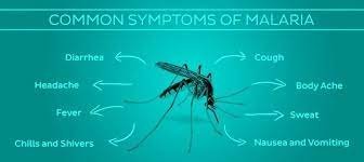 जाने मच्छर के काटने से होने वाली बीमारी मलेरिया के लक्षणों के बारे में...