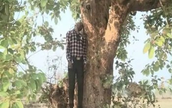सरकारी स्कूल के टीचर ने लगाई फांसी:गरियाबंद में पढ़ाने निकला शिक्षक वापस नहीं लौटा, सड़क किनारे पेड़ पर लटकी मिली लाश