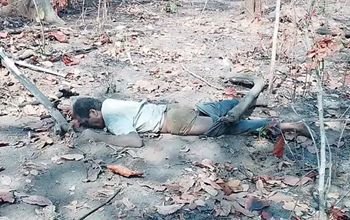 हाथी ने श्रमिक को पटक-पटक कर मार डाला: वन क्षेत्र में फेंसिंग के लिए पहुंचा था अधेड़; 18 हाथी क्षेत्र में मौजूद