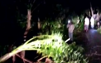 असम के बाद बंगाल में तूफान से तबाही, कूचबिहार जिले में 2 लोगों की मौत और 50 घायल