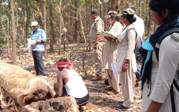रायपुर : मुख्य वन संरक्षक ने किया नरवा विकास योजना, फूड ग्रेड महुआ संग्रहण कार्य सहित विभिन्न गतिविधियों का निरीक्षण