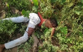 जिले में तीसरे दिन फिर हत्या: युवक की हत्या कर शव को उसी के घर के पास झाड़ियों में फेंक दिया
