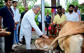 गोधन न्याय योजना में 144 करोड़ की गोबर खरीदी पर महिला समूह और किसानों ने मुख्यमंत्री को 'गाय-बछड़ा' आशीर्वाद स्वरूप भेंट किया...