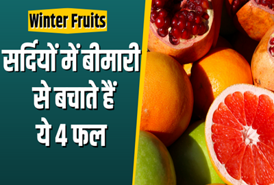Winter Fruits : ये 4 फल आज से ही शुरू कर दें सेवन करना मजबूत हो जाती है इम्यूनिटी पावर बीमारी से बचाते हैं सर्दियों में.