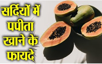 Papaya Seeds Benefits: सर्दियों में खाना शुरू कर दें पपीते के बीज, सर्दी-जुकाम समेत इन बीमारियों में मिलेगा फायदा; मजबूत होगी इम्यूनिटी