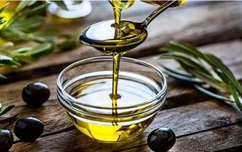 Olive Oil Benefits: बालों के सूखेपन या ज्वॉइंट पेन से रहते हैं परेशान? नाभि में लगाना शुरू कर दें ये आयुर्वेदिक तेल, तुरंत मिलेगा आराम...