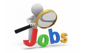 Govt Jobs 2023 : 3100 से अधिक टीजीटी-पीटीजी की निकली भर्ती, टीचर बनने के लिए भरें फॉर्म....