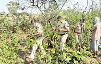 तालाब किनारे मिली अधेड़ की सड़ी-गली लाश, जांच में जुटी पुलिस...