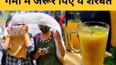Fruit Juice For Heat Stroke: कड़ी धूप ने कर दिया जीना मुहाल? लू से बचना है तो जरूर पिएं इस सख्त फल का जूस