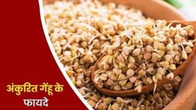 Sprouted Wheat: अंकुरित गेहूं खाने से होंगे 3 बड़े फायदे, एक बार जरूर करना चाहिए ट्राई...