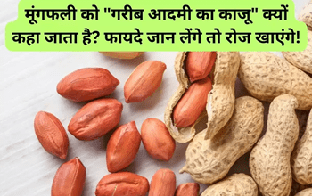 Poor Almonds: 'गरीबों का काजू' क्यों कहलाती है मूंगफली? फायदे जान आप खाएंगे रोज!