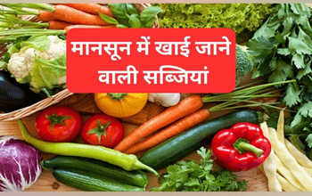 Monsoon Vegetables: बरसात में जरूर खानी चाहिए ये 5 सब्जियां, सेहत के लिए होती हैं वरदान; कीमत भी बहुत कम
