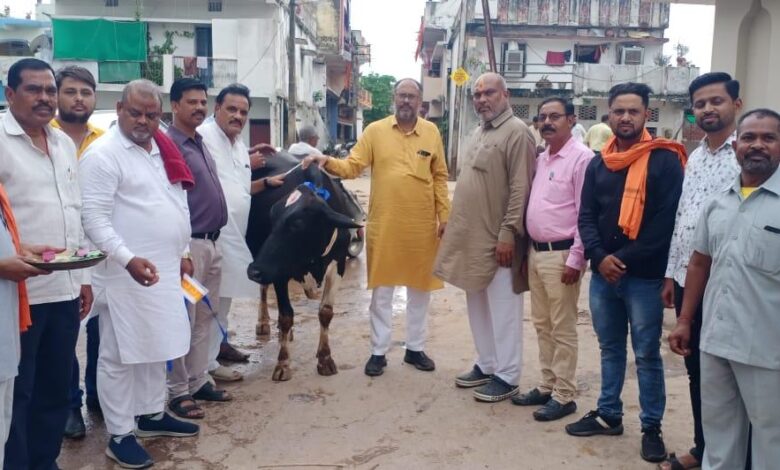 जिला अध्यक्ष जितेंद्र वर्मा के नेतृत्व में भाजपा ने गायों को आटा लोंदी खिलाकर और गले में रेडियम पट्टी बांधकर मनाया हरेली तिहार 1 जिला अध्यक्ष जितेंद्र वर्मा के नेतृत्व में भाजपा ने गायों को आटा लोंदी खिलाकर और गले में रेडियम पट्टी बांधकर मनाया हरेली तिहार