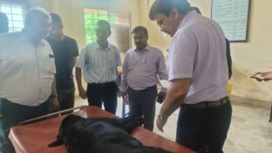 संभागायुक्त एवं कुलपति श्री कावरे ने पशु चिकित्सालय पदमनाभपुर दुर्ग में दी दबिश