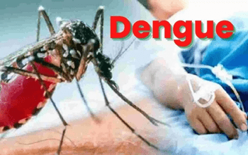 डेंगू की रोकथाम हेतु सघन अभियान...