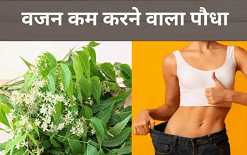 Fibre से भरपूर Neem दिलाएगा Belly Fat से छुटकारा, फिट होंगे पुराने कपड़े