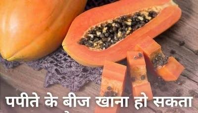 Papaya Seeds: Flavonoids से भरपूर पपीते के बीज खाना हो सकता है खतरनाक, कैंसर के साथ अंग हो जाएंगे डैमेज!