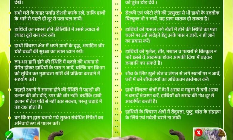 वन्य प्राणी सुरक्षा सप्ताह: स्कूली बच्चों की ड्रॉइंग-पेंटिंग, स्लोगन, निबंध एवं क्विज प्रतियोगिता आयोजित