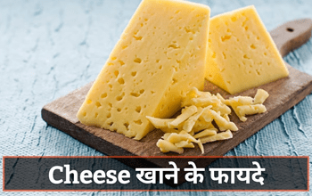 Cheese Benefits: डिमेंशिया से पाचन की दिक्कतों तक, इन 5 समस्याओं को दूर करती है ये चीज...