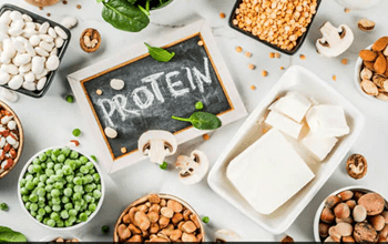 Protein Foods: शरीर में प्रोटीन की कमी हो रही है? डाइट में अंडा नहीं बस खाएं ये 4 फूड्स...