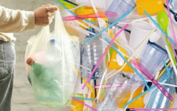 प्रतिबंध प्लास्टिक वस्तुओं के उत्पाद व विक्रय पर होगी कार्यवाही...
