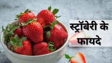 Strawberry Benefits: यह छोटी-सी बेरी कैंसर से करती है बचाव! जानें इसके अनोखे फायदे...