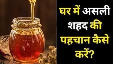 Honey Purity Test: आपके किचन में मौजूद शहद असली है या नहीं? घर में इस तरह करें पता...