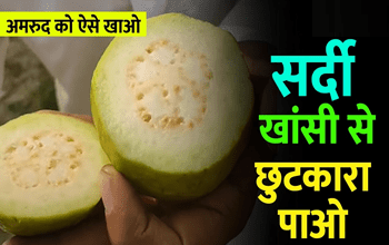 Guava in Cough And Cold: अमरूद करेगा सर्दी और खांसी की छुट्टी! डॉक्टर्स भी गिनवाते हैं फायदे...