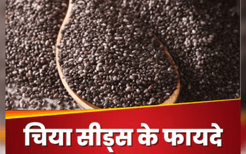 Benefits of eating chia seeds: चिया सीड्स का सेवन करने से बढ़ते वजन से पा सकते हैं छुटकारा, जानें न्यूट्रिशन एक्सपर्ट से फायदे...