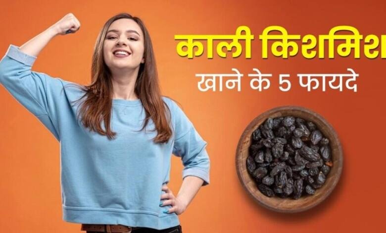 Benefits of Eating Black Raisins Daily: रोजाना काली किशमिश खाने से पेट सबंधित समस्या हो सकती है दूर, जानें डायटीशियन की सलाह...