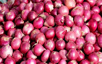 Onion Price: इस बार महंगी नहीं होगी प्‍याज! सरकार ने रेट पर लगाम लगाने के ल‍िए क‍िया यह इंतजाम...