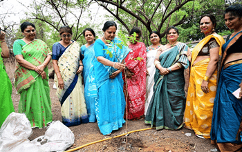 विश्व पर्यावरण दिवस पर भिलाई महिला समाज ने किया वृक्षारोपण...
