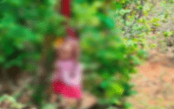 पहाड़ी कोरवा महिला की पेड़ से लटकी मिली लाश, जांच में जुटी पुलिस...