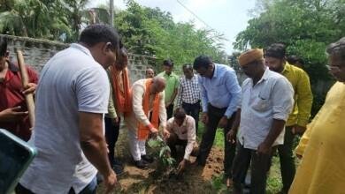 छत्री समाज ने पौधा रोपण कर बड़े वृक्ष में परिवर्तित करने का लिया संकल्प...