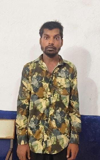 गर्भवती गाय के पेट में चाकू घोंपने वाला आरोपी गिरफ्तार...