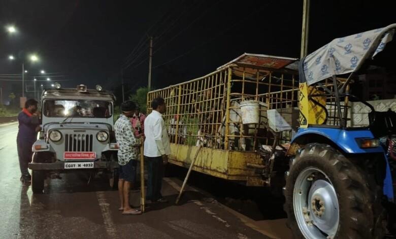 देर रात तक शहर के आवारा मवेशियों को धर पकड़ करते रहे निगम अमला...