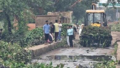 पुलगांव नाला से निगम ने जेसीबी से हटवाई जलकुंभी: आयुक्त लोकेश चन्द्राकर ने किया सफाई कार्य का निरीक्षण...