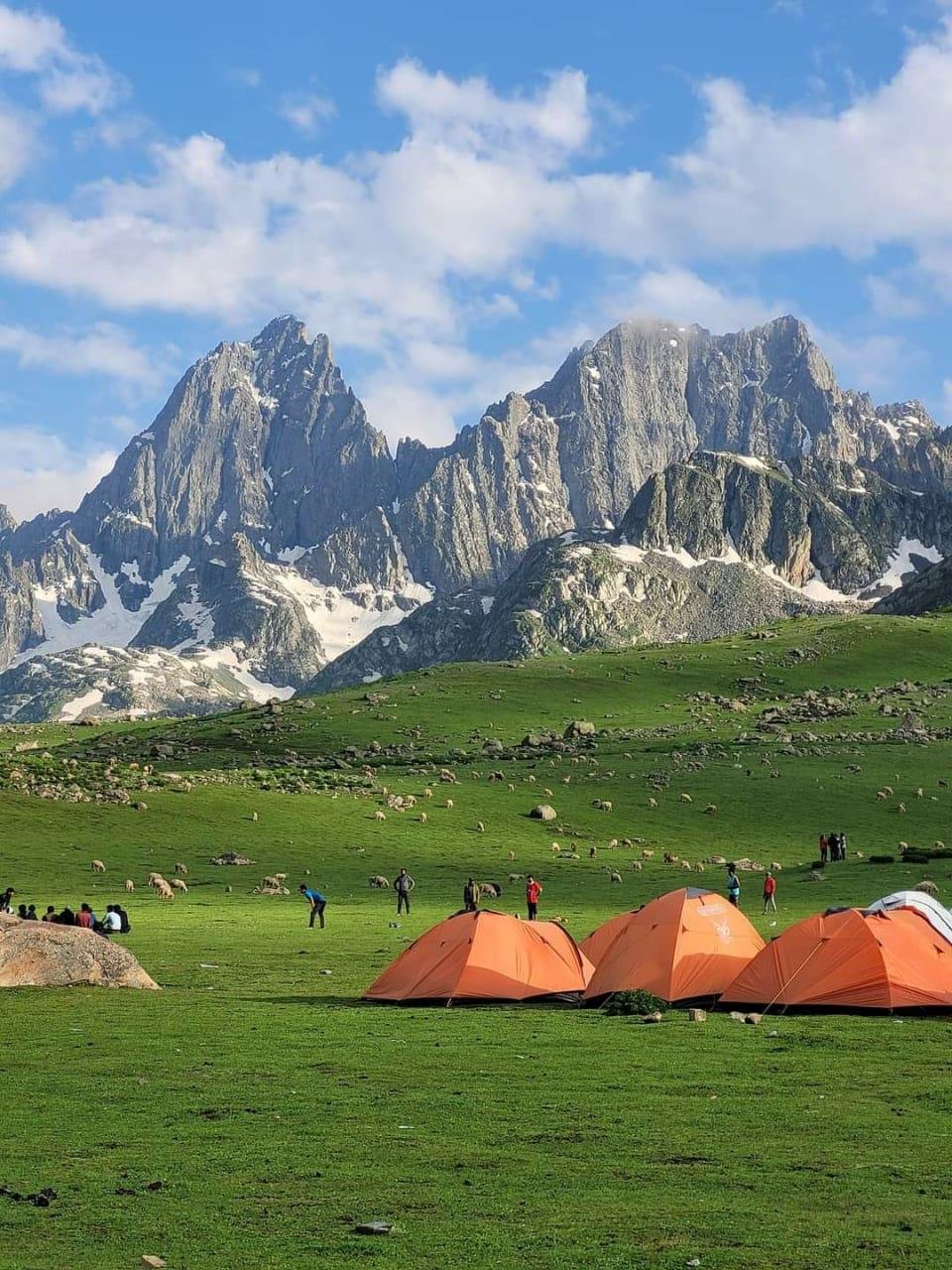 नेहरू आर्ट गैलरी में श्री बृजबिहारी मिश्र द्वारा खीची गई छायाचित्रों के संग्रह की एकल प्रदर्शनी का आयोजन...