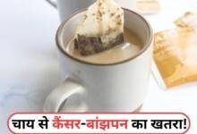 चाय के शौकीन हो जाएं सावधान! Tea Bag से कैंसर और बांझपन का खतरा, एक्सपर्ट्स की बड़ी चेतावनी....