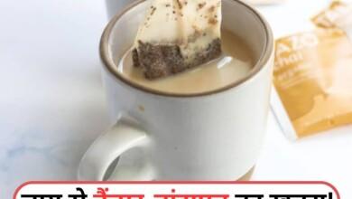 चाय के शौकीन हो जाएं सावधान! Tea Bag से कैंसर और बांझपन का खतरा, एक्सपर्ट्स की बड़ी चेतावनी....