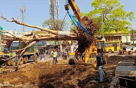 सड़क चौड़ीकरण में बाधित पेड़ो को काटने के बजाए की रही है ठगड़ा बांध में शिप्टिंग....