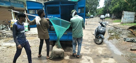 कुत्ता पकड़ने की टीम लगाई गई, निदानी 1100 पर कर सकते हैं शिकायत....