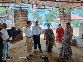 महापौर अलका बाघमार ने किया गौठान का निरीक्षण, 550 निराश्रित गौवंश की सेवा जारी, शेड निर्माण होगा तेज़...