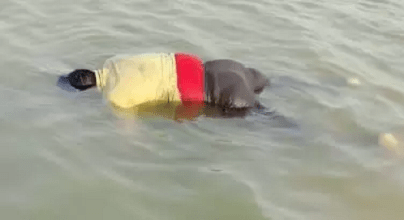 36 घंटे बाद मिला लापता मछुआरे का शव, तेज आंधी-तूफान में डोंगा पलटने से हुई थी मौत... 1 36 घंटे बाद मिला लापता मछुआरे का शव, तेज आंधी-तूफान में डोंगा पलटने से हुई थी मौत...