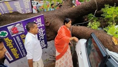 महापौर श्रीमती अलका बाघमार ने घटनास्थल का निरीक्षण किया और तत्काल पेड़ हटाने के निर्देश दिए....