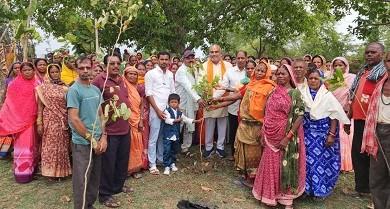 वृक्ष हमारे जीवन का आधार है इनका संवर्धन व संरक्षण हमरा कर्त्तव्य है...