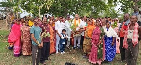 वृक्ष हमारे जीवन का आधार है इनका संवर्धन व संरक्षण हमरा कर्त्तव्य है...