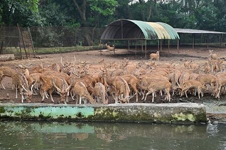 मैत्री बाग में जल्द पहुंचेगा तेंदुआ और भालू का जोड़ा: संरक्षण के नए प्रयासों की ओर एक और कदम...